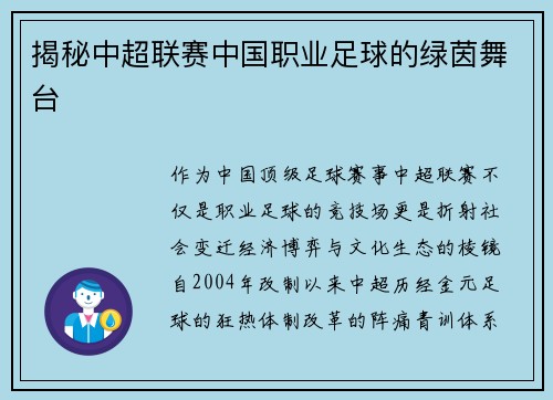 揭秘中超联赛中国职业足球的绿茵舞台