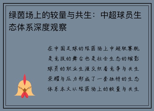 绿茵场上的较量与共生：中超球员生态体系深度观察